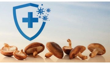 Immune-Boosting Properties of Medicinal Mushrooms